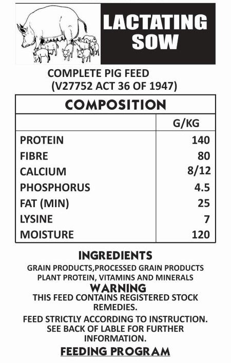 Pig Lactating Sow 40kg