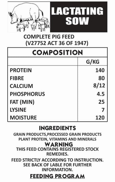 Pig Lactating Sow 40kg
