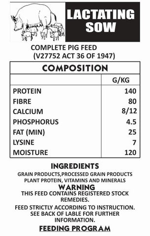 Pig Lactating Sow 40kg