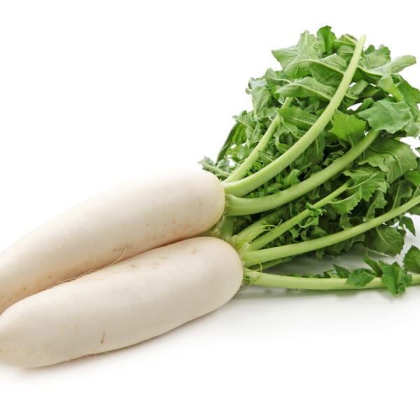 Jap Radish Seeds - Nooitgedacht 1kg