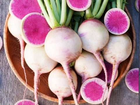 Misato Rose Flesh Speciality Radish Seeds 50 000 Seeds
