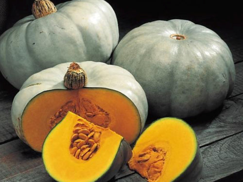 Nelson Grey Pumpkin Seeds (Prices From)