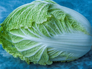 Natsuki Chinese Cabbage 1000 Seeds