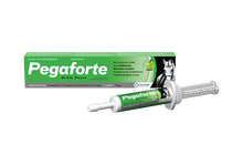 Pegaforte Paste 10g