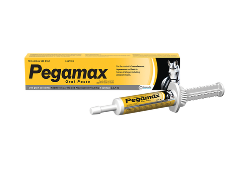 Pegamax Paste 32.4g