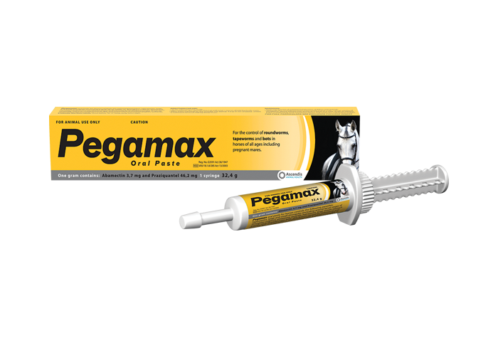 Pegamax Paste 32.4g