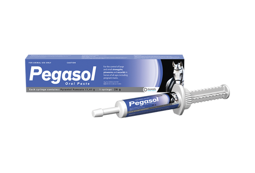 Pegasol Paste 26g