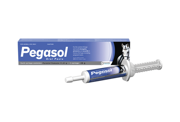 Pegasol Paste 26g