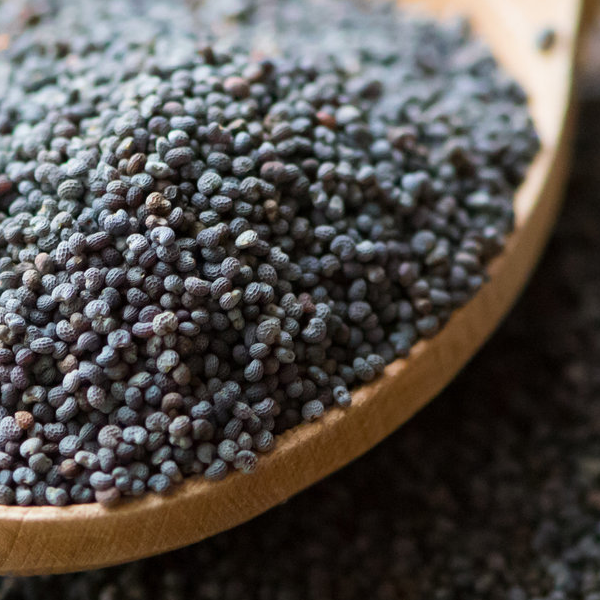 Poppy Seed (Prices From)