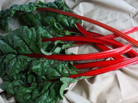 Rhubarb Red Stem Swiss Chard Seeds 1Kg
