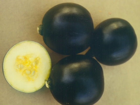 Smarag Gem Squash Seeds (Prices From)