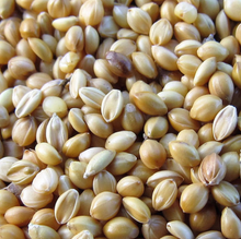 Dehulled Millet - Gluten Free. (Prices From)