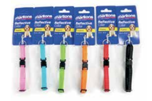 Puppy Leads & Collards (Prices from)