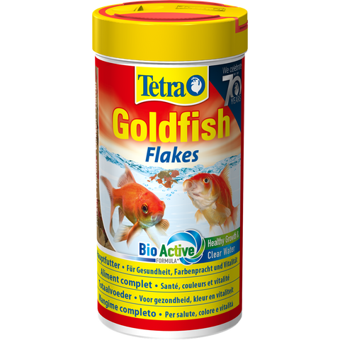 Tetra Goldfish (Prices from)