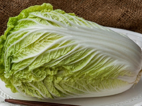 Tabaluga Chinese Cabbage Seeds (Prices From)