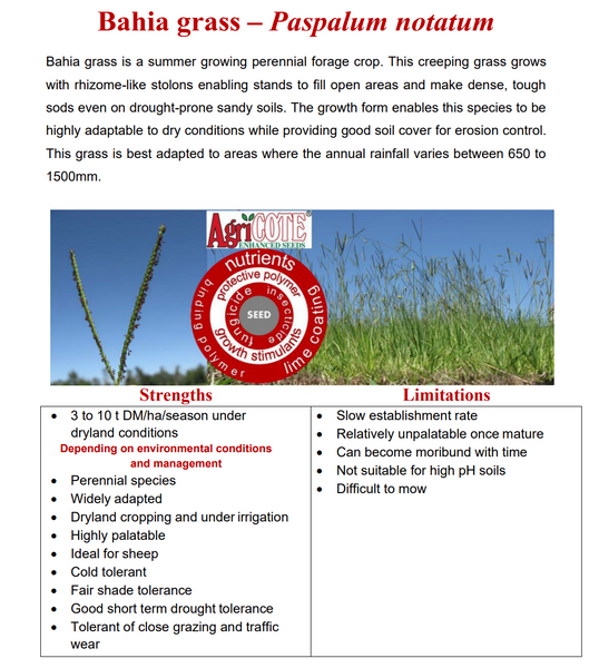 Paspalum Notatum/Bahia Grass (Coated) 20kg