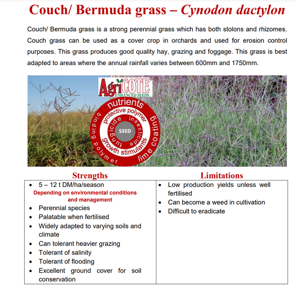 Bermuda Grass /Couch Grass - Cynodon Dactylon (Prices From)