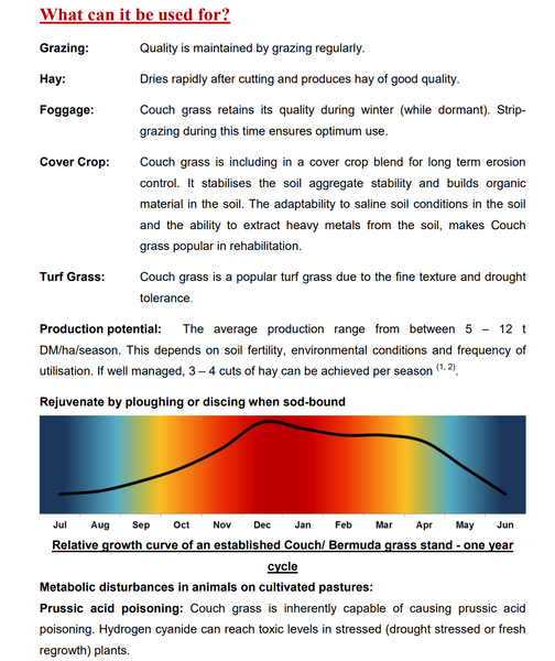 Bermuda Grass /Couch Grass - Cynodon Dactylon (Prices From)