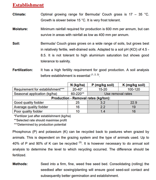 Bermuda Grass /Couch Grass - Cynodon Dactylon (Prices From)