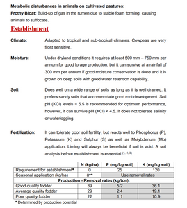 Cowpeas -  Betchuanaland White  25kg