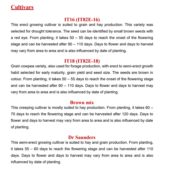 Cowpeas -  Betchuanaland White  25kg