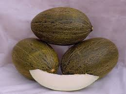 Don Quixote Piel de Sapo Melon 1 000 Seeds