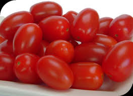 Tinker Indeterminate Speciality - Mini Plum Red Tomato Seeds
