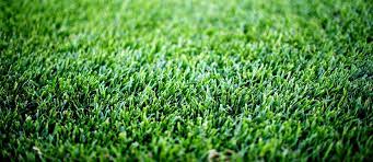 RTF Turfsaver 20kg
