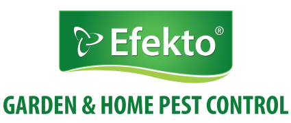 Efekto Citronella Candle 100G