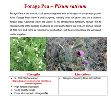 Forage Peas Seeds 25kg