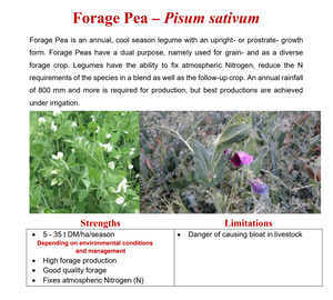 Forage Peas Seeds 25kg