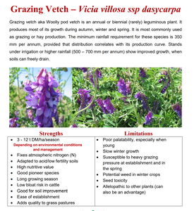 Grazing Vetch Seeds - Forage 25kg