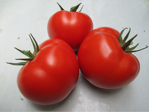 Heidi Indeterminate - Salad Tomato Seeds (Prices From)