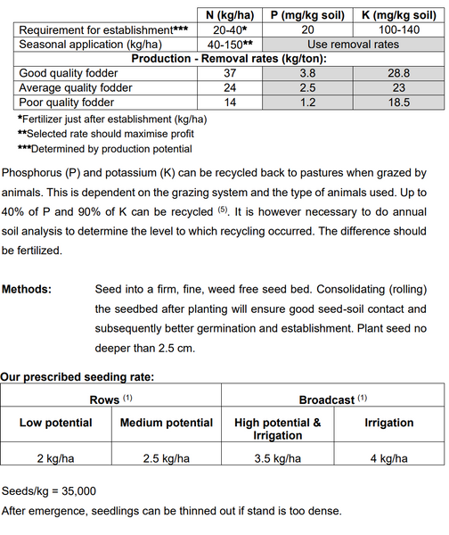 Jap Radish Seeds - Nooitgedacht 1kg