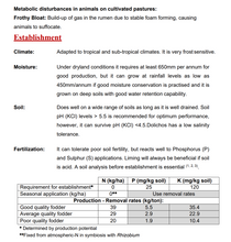 Dolichos - (Lab Lab Slingergone) - 25kg