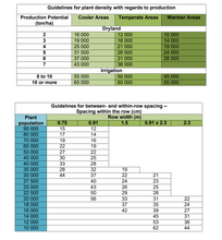 White Maize Seeds : ZM 521 (Prices from)