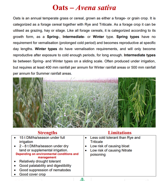 Oats Seeds 25kg