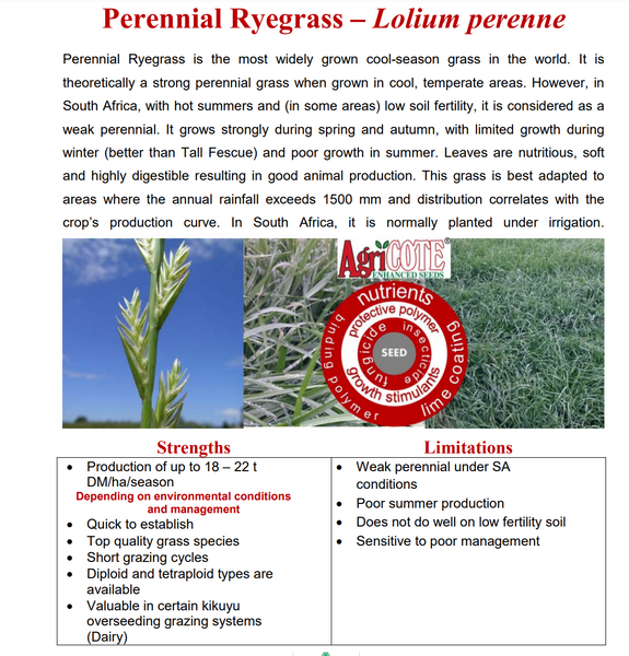 Rye Grass: Perennial - 25kg