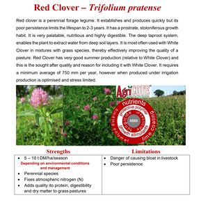 Red Clover - 1kg