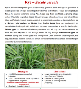 Rye Winter Grass 20kg