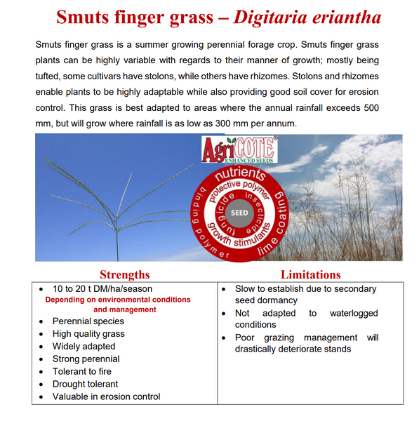 Smutsfinger grass - Irene (Coated) 20kg