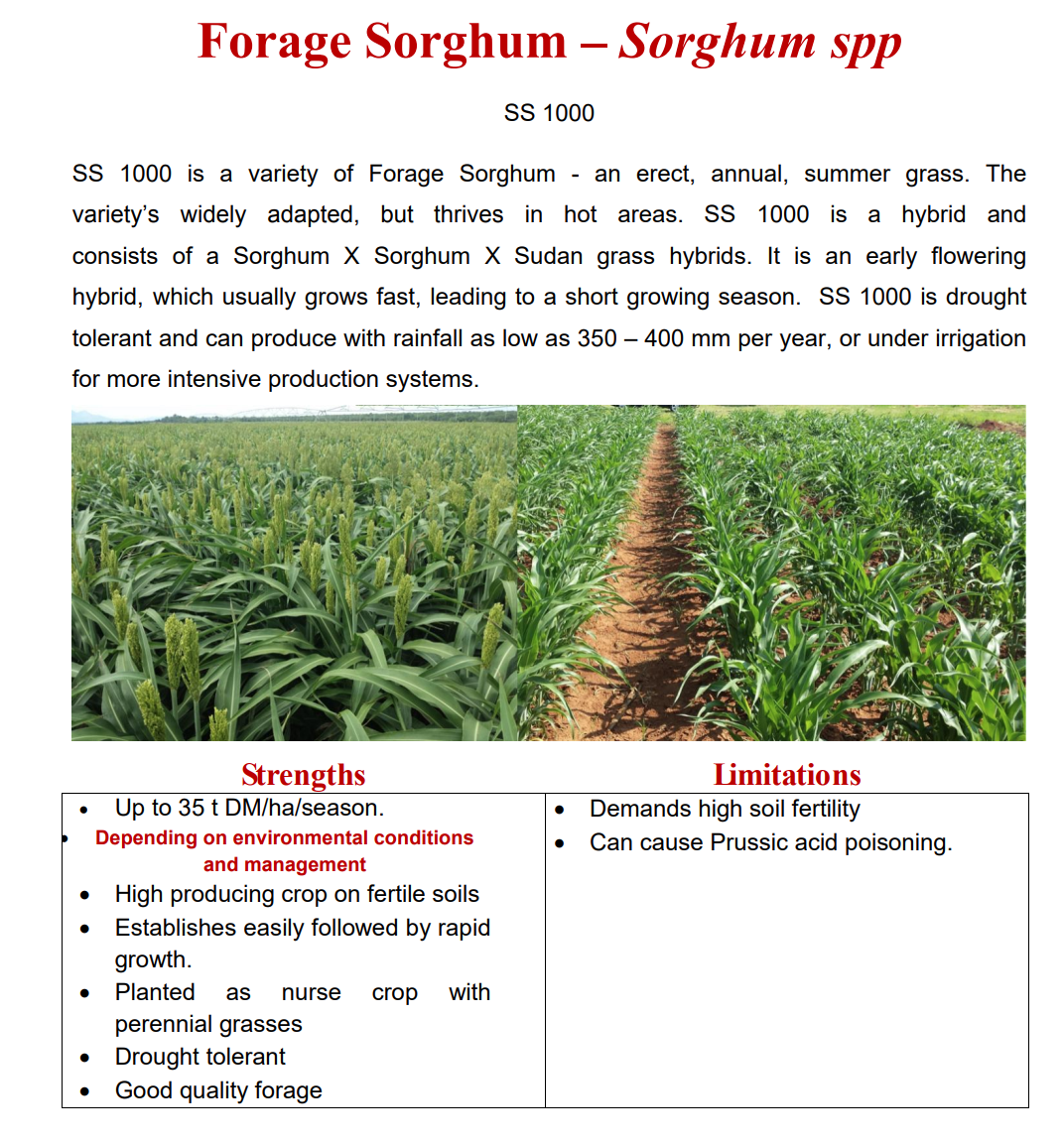 Supergraze 1000 25kg – For the Farmer