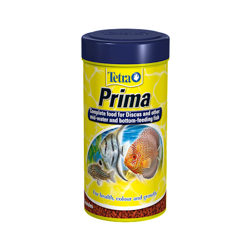 Tetra Prima (Prices from)