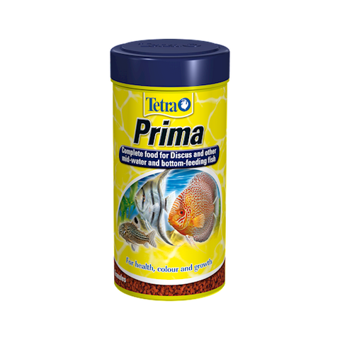 Tetra Prima (Prices from)