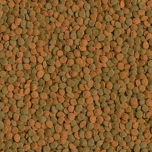 Tetra Wafer Mix 68g