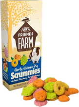 Gerty Guinea Pig Scrummies 120g - (8 Packets)